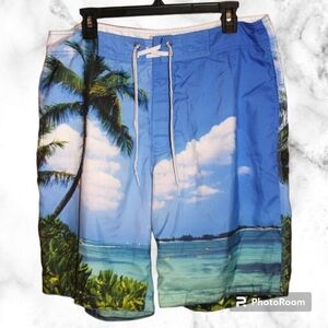 OLD Navy Men's Swim Trunks